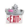 Hazardous Location Lighting 180min Emergency Battery Back Edge Lit Et Fixture Two Side Exit Logo Class I Division I